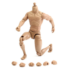 1/6 Scale Action Figure Male Nude Muscular Body 12" Plastic Toy for TTM18/19