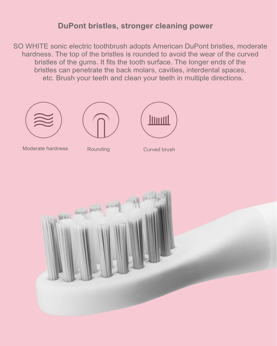 Sonic Electric Toothbrush Wireless Induction Charging IPX7 Waterproof