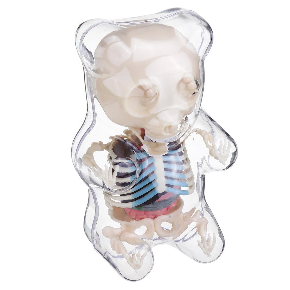 Anatomy Model Gummi Bear Skeleton Anime Assembly Action Figure Gifts Science Animal Model