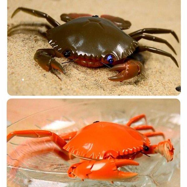 Infrared Remote Control Crab Simulation RC Animal Toy 9995