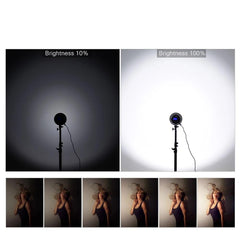 60W 5600K LED Continuous Video Light Studio Lamp