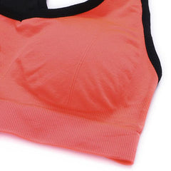 Shakeproof Running Fitness Seamless Bra