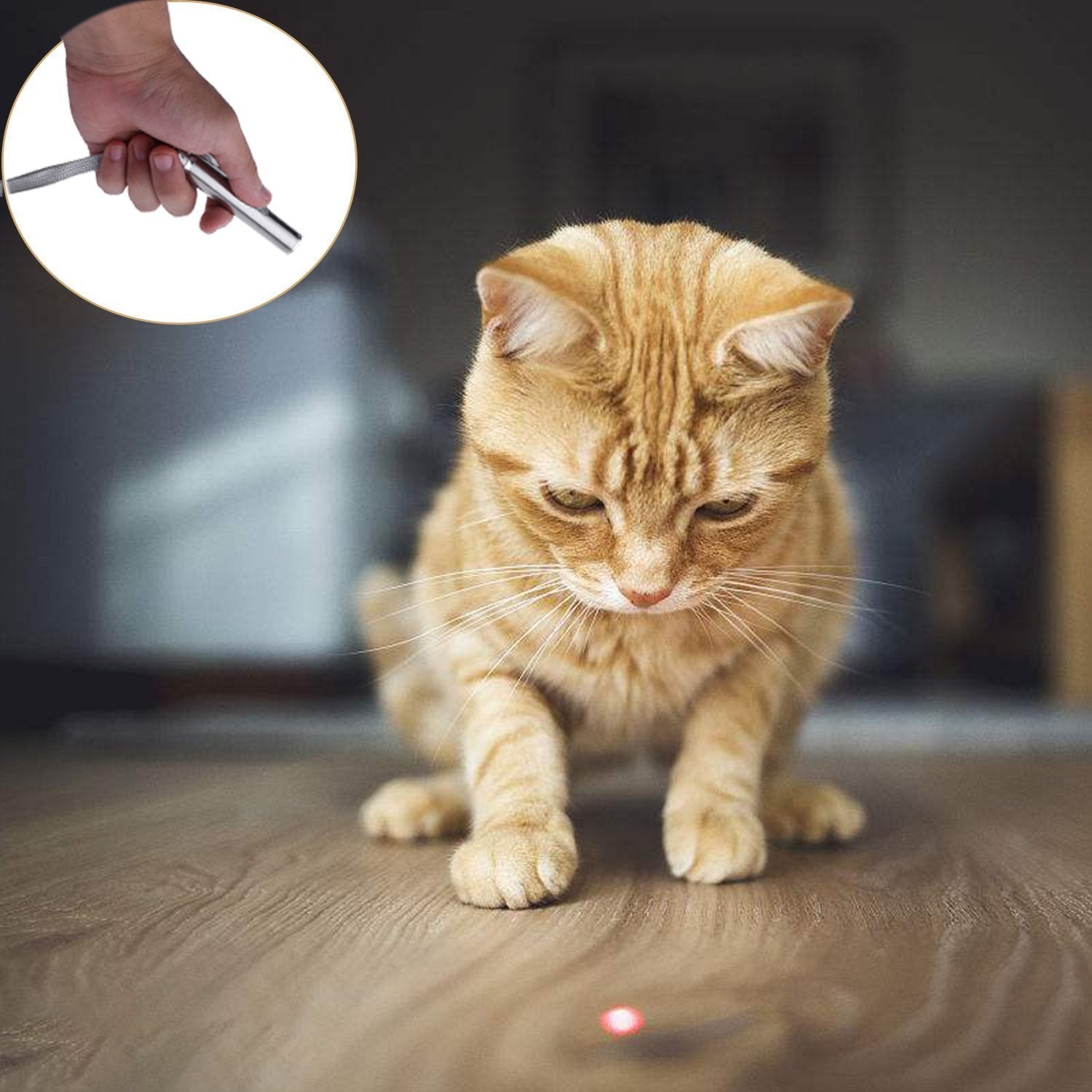 USB Rechargeable Pet Toys Cat Training Laser Pointer With LED Flashlight
