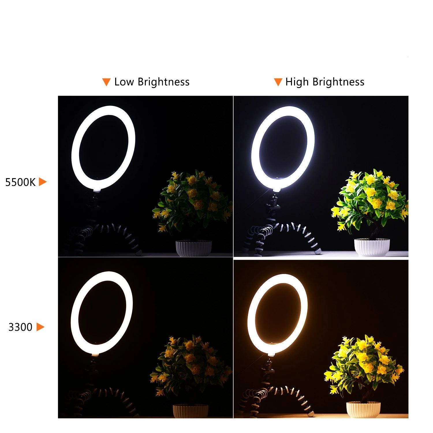 10 Inch/26cm Ring Video Light Kit