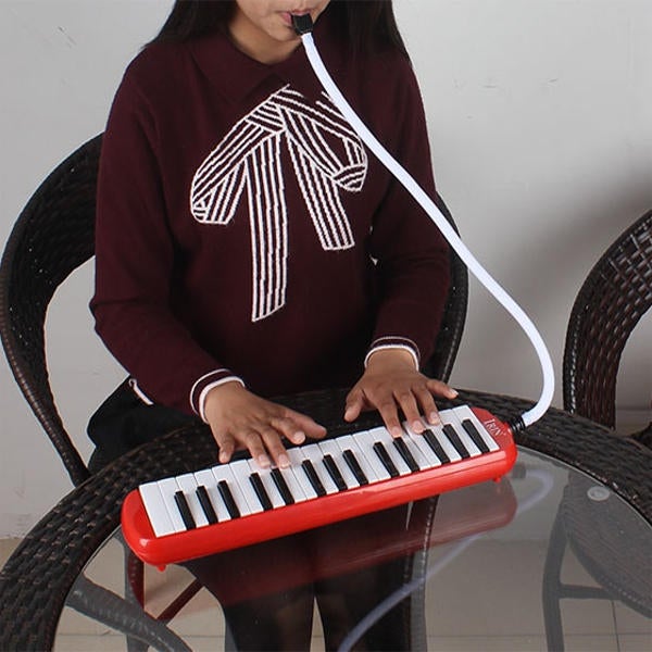 32 Key Melodica Keyboard Mouth Organ with Pag for School Student