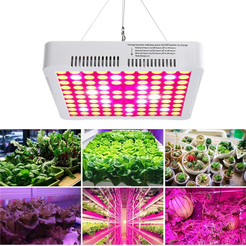 300W Full Spectrum Hydro Veg Grow Light