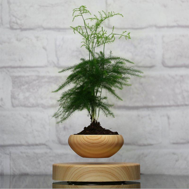 Magnetic Suspended Potted Plant Wood Grain Round LED Indoor Pot Home Office Decoration