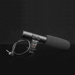 Stereo Camcorder Recording Microphone