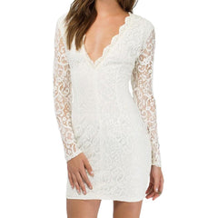 Sexy Women Lace Dress Plunge V Neck Zip Backless Long Sleeve Cocktail Party