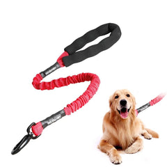 Dog Pet Bungee Leash