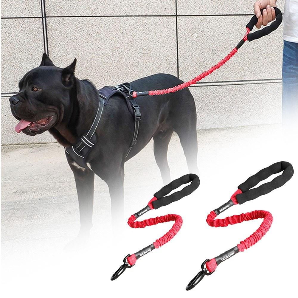 Dog Pet Bungee Leash