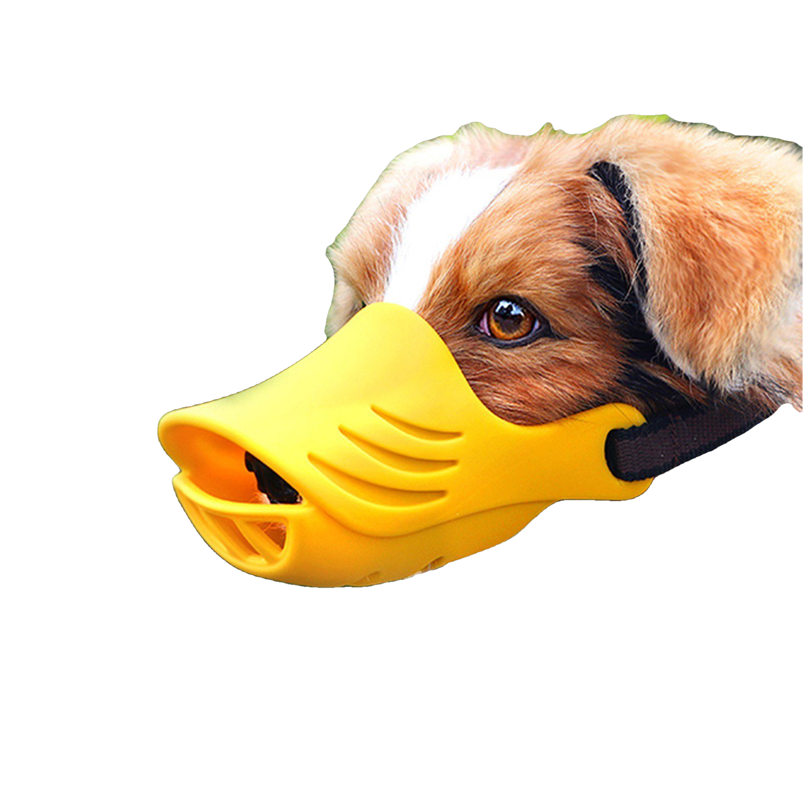 Dog Muzzle Mouth Cover Prevent Barking Biting Chewing Soft Silicone