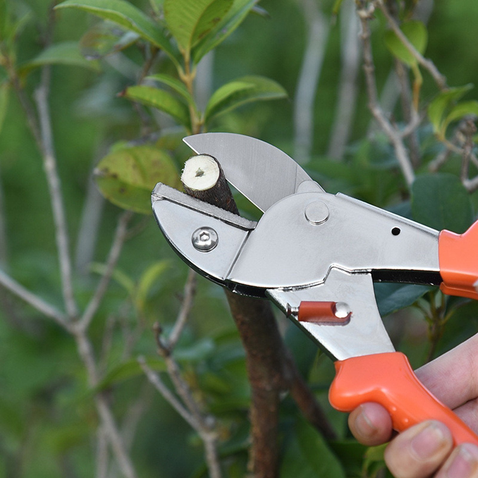 Secateurs Steel Blade Pruning Shears