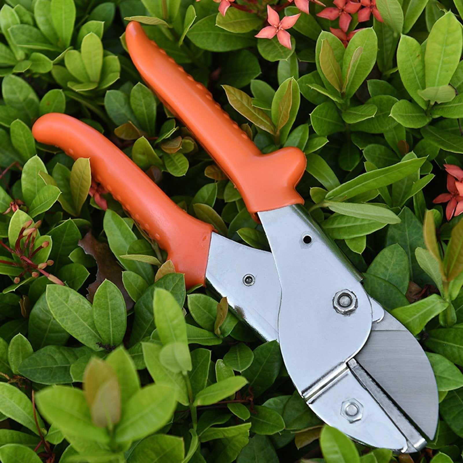 Secateurs Steel Blade Pruning Shears