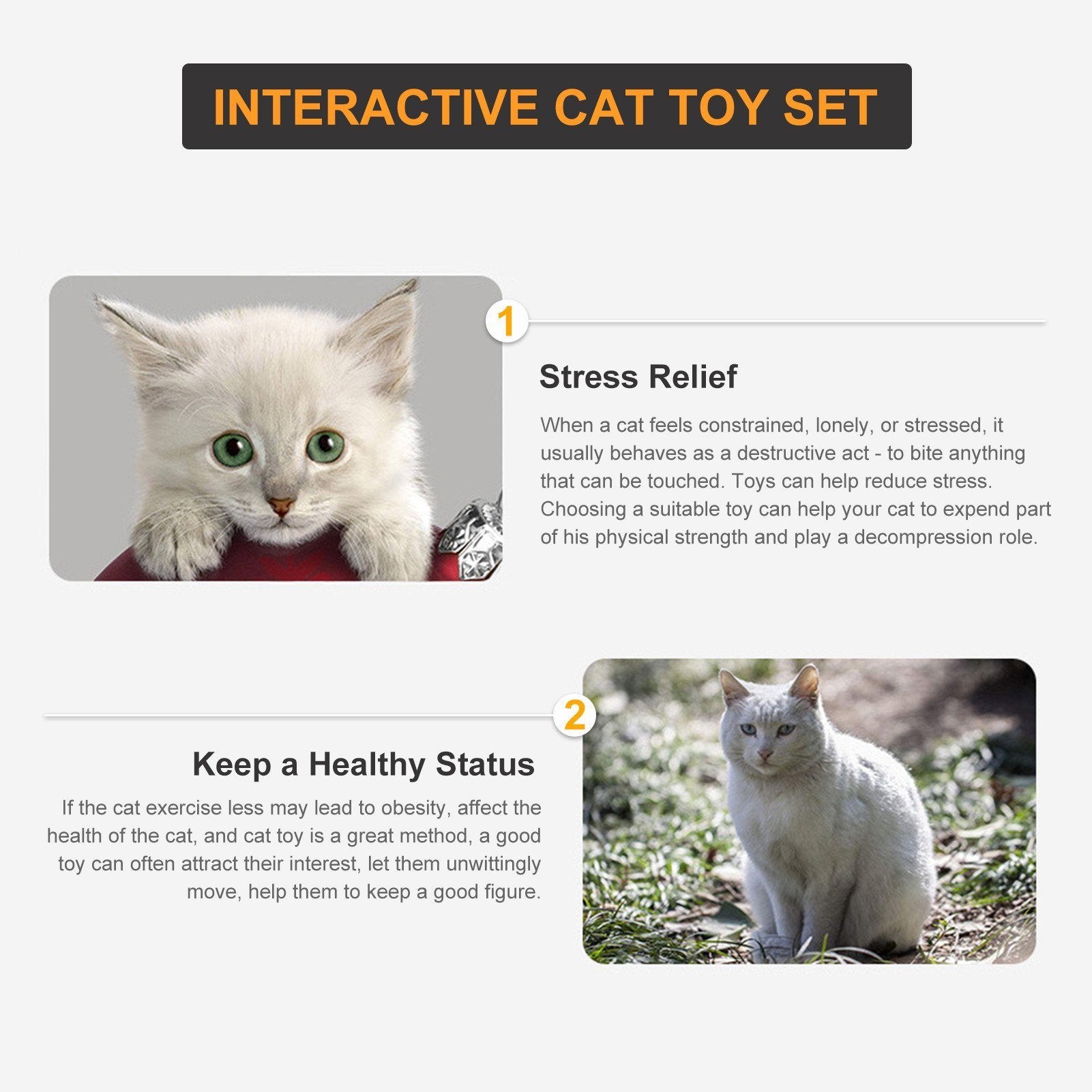 Cat Toy Kitten Toys - Variety Pack Set 21PCS