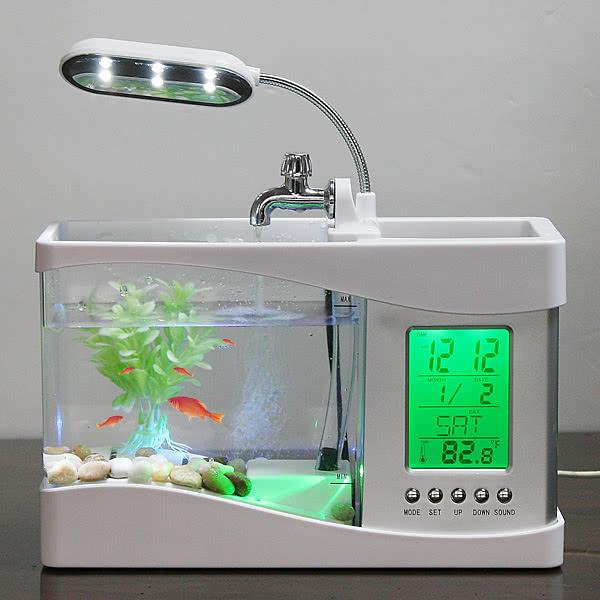 Desktop Fish Tank with LED Clock