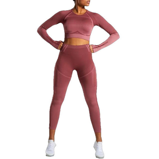 Women Seamless Gym High Waist Mesh Leggings Long Sleeve Shirts Fitness Thin Sport Suit Sets