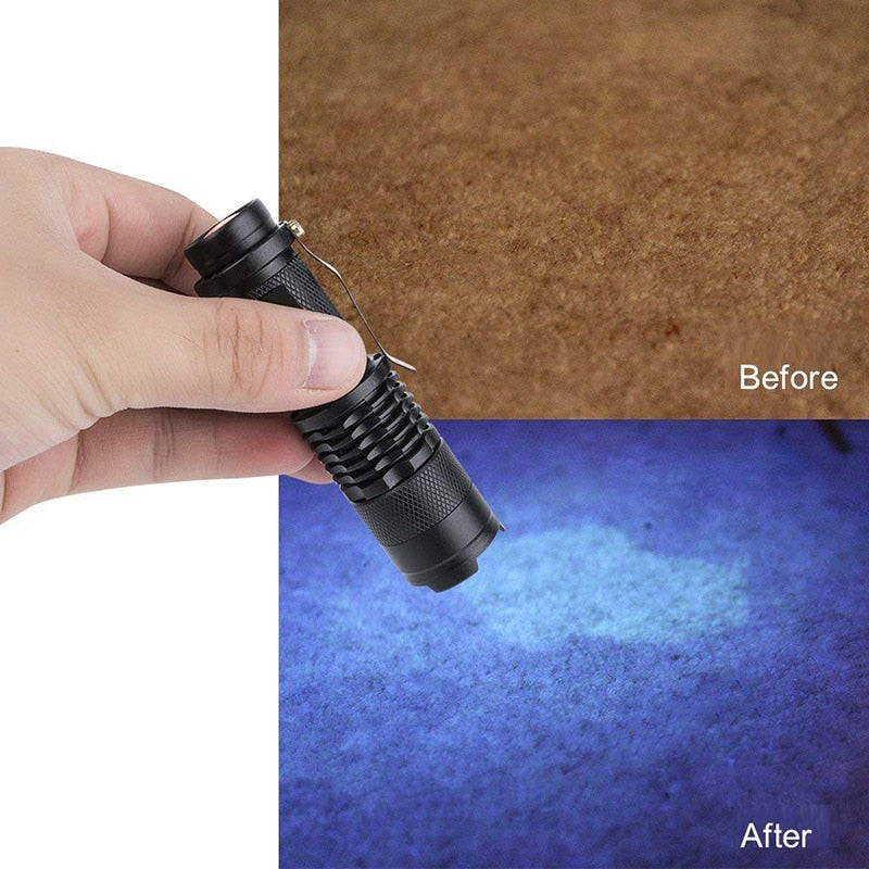 Mini Zoomable 3 Modes Scorpion 395nm UV Dropshipping LED Flashlight Ultraviolet Torch Money Pet Urine Stains Detector - JustgreenBox