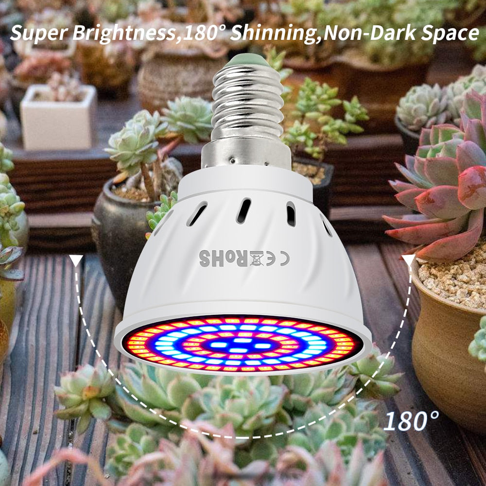 Phyto Led B22 Hydroponic Growth Light E27 Grow Bulb MR16 Full Spectrum 220V UV Lamp Plant E14 Flower Seedling Fitolamp - JustgreenBox
