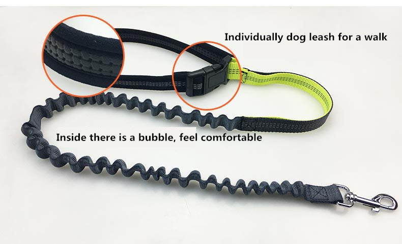 Handsfree Bungee Dog Leash 140cm - JustgreenBox