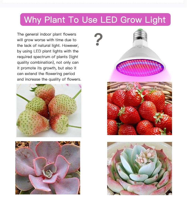 Phytolamp Full Spectrum LED Grow Light E27 Phyto Lamp for Plants Plant Seedlings Flower Fitolamp Tent