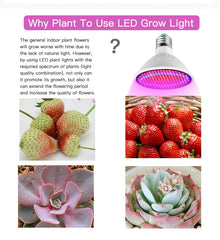 Phytolamp Full Spectrum LED Grow Light E27 Phyto Lamp for Plants Plant Seedlings Flower Fitolamp Tent