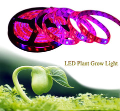 Plant Grow lights 5m Waterproof Full Spectrum LED Strip Flower phyto lamp Red blue 4:1 for Greenhouse Hydroponic+Power adapter - JustgreenBox