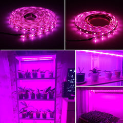 LED Grow Light Full Spectrum USB Strip Lights Chip Phyto Lamps For Greenhouse Hydroponic Plant Growing - JustgreenBox