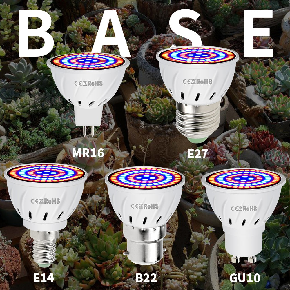 Phyto Led B22 Hydroponic Growth Light E27 Grow Bulb MR16 Full Spectrum 220V UV Lamp Plant E14 Flower Seedling Fitolamp - JustgreenBox