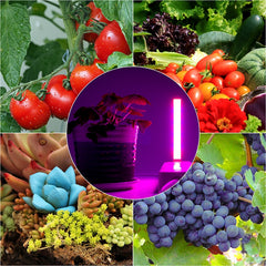USB LED Grow Light Full Spectrum 3W 5W DC 5V Fitolampy For Greenhouse Vegetable Seedling Plant Lighting IR UV Growing Phyto Lamp - JustgreenBox
