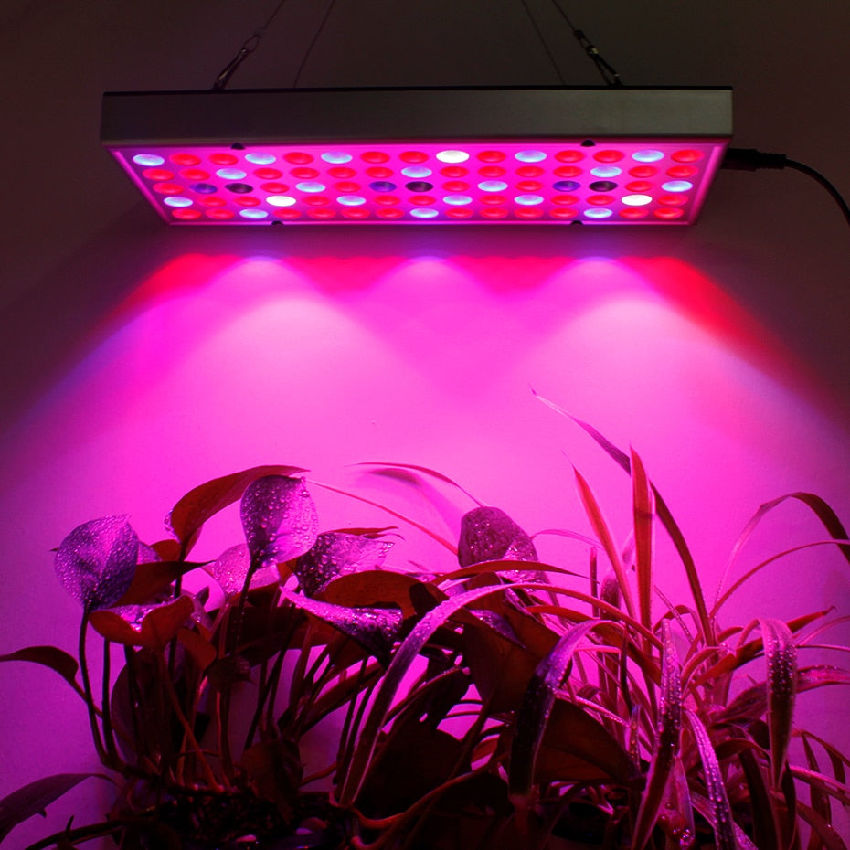 Growing Lamps LED Grow Light Full Spectrum Plant Lighting Fitolampy For Plants Flowers Seedling Cultivation - JustgreenBox