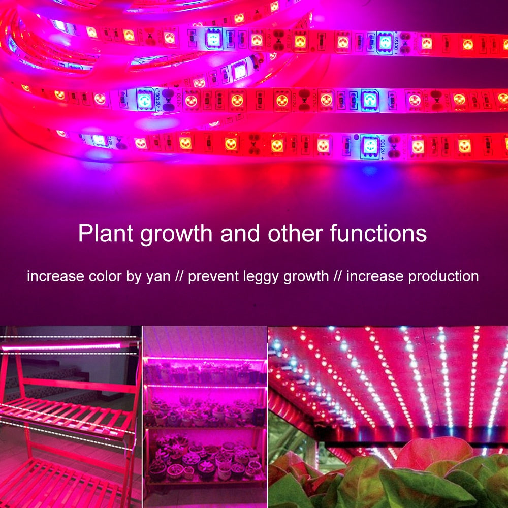 Plant Grow lights 5m Waterproof Full Spectrum LED Strip Flower phyto lamp Red blue 4:1 for Greenhouse Hydroponic - JustgreenBox
