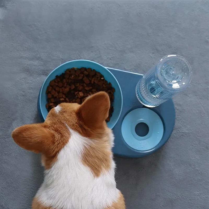 Pet Bowls Dog Feeder Drinking Dish Cat Puppy Feeding Supplies