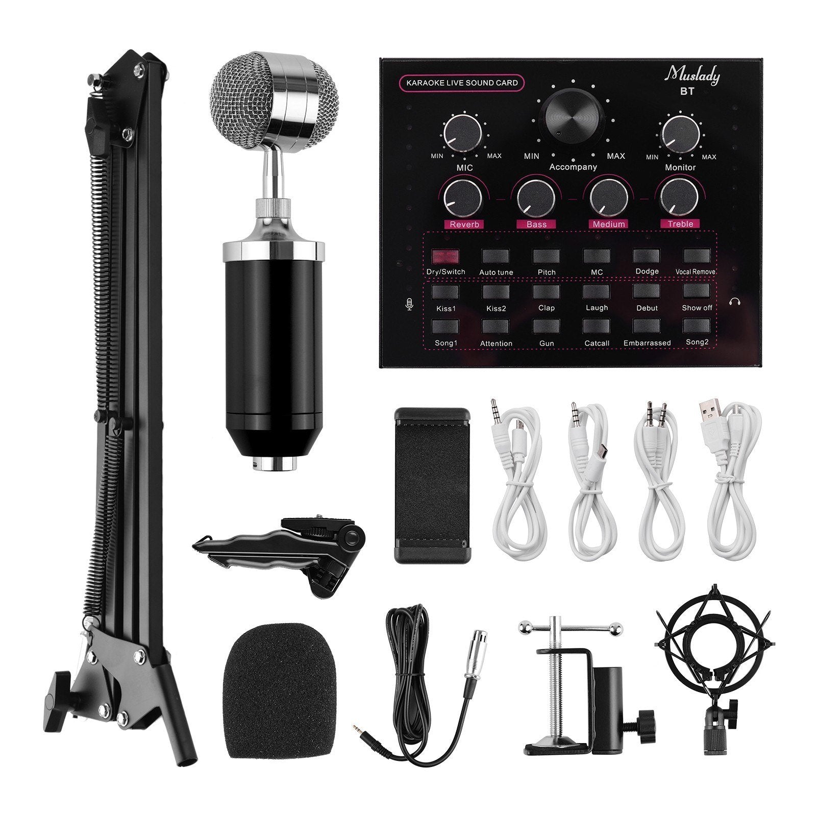 Live Sound Card + Professional Condenser Microphone Kit