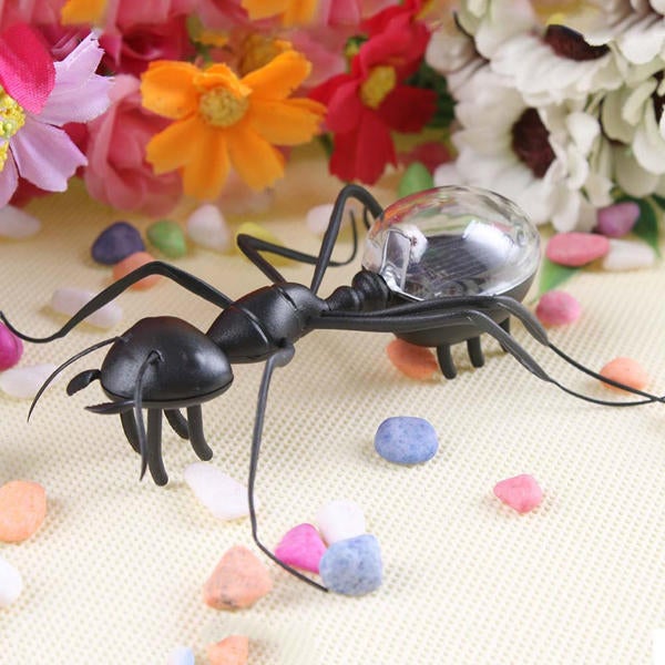 Educational Solar powered Ant Energy-saving Model Toy Children Teaching Fun Insect Toy Gift