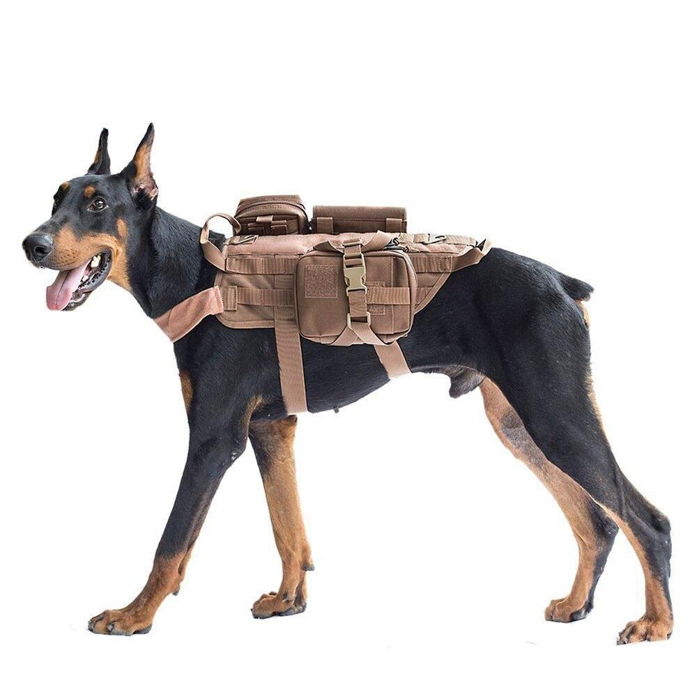 Dog Outdoor Vest Pitbull Training Equipment