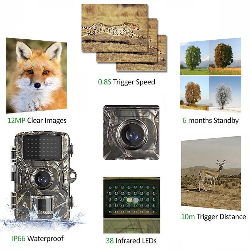 Wildlife Hunting Trail and Game Camera 12MP 1080P