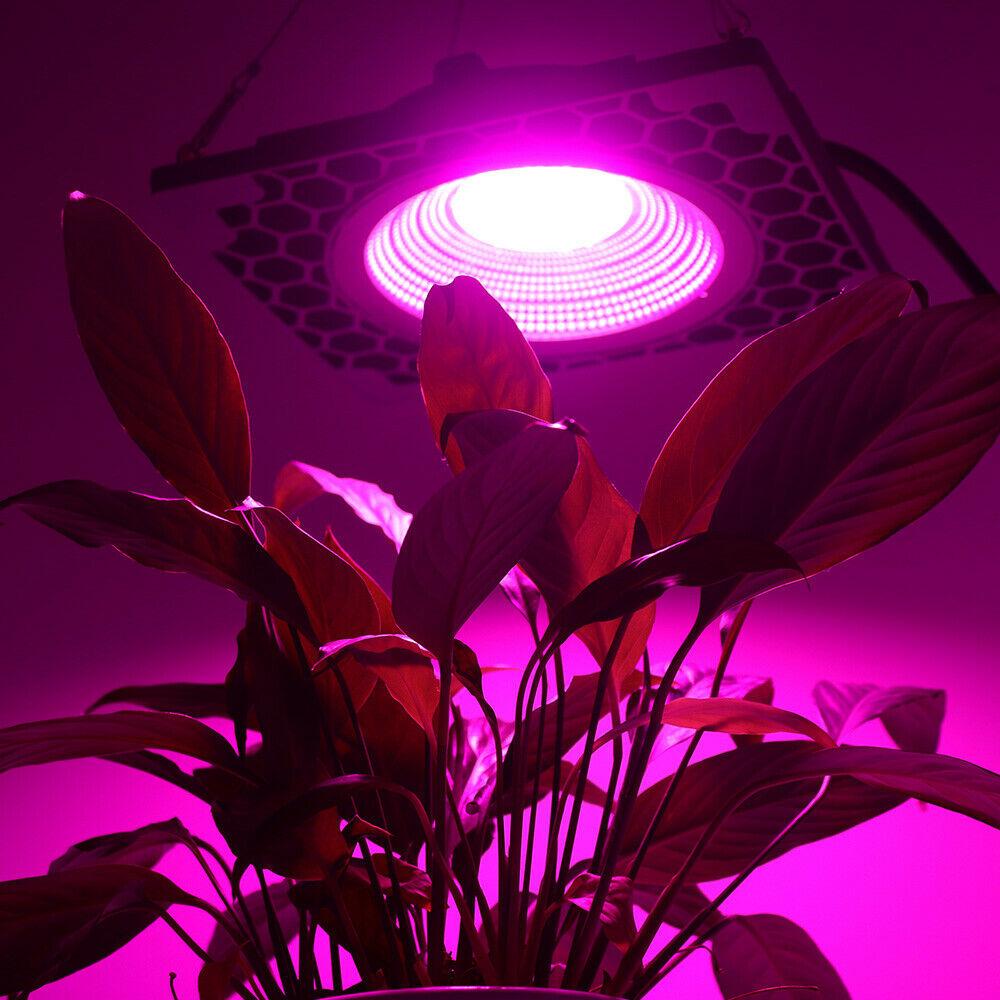 1000W Full Spectrum LED Grow Veg Seed Light for Greenhouse Plant 110V/220V