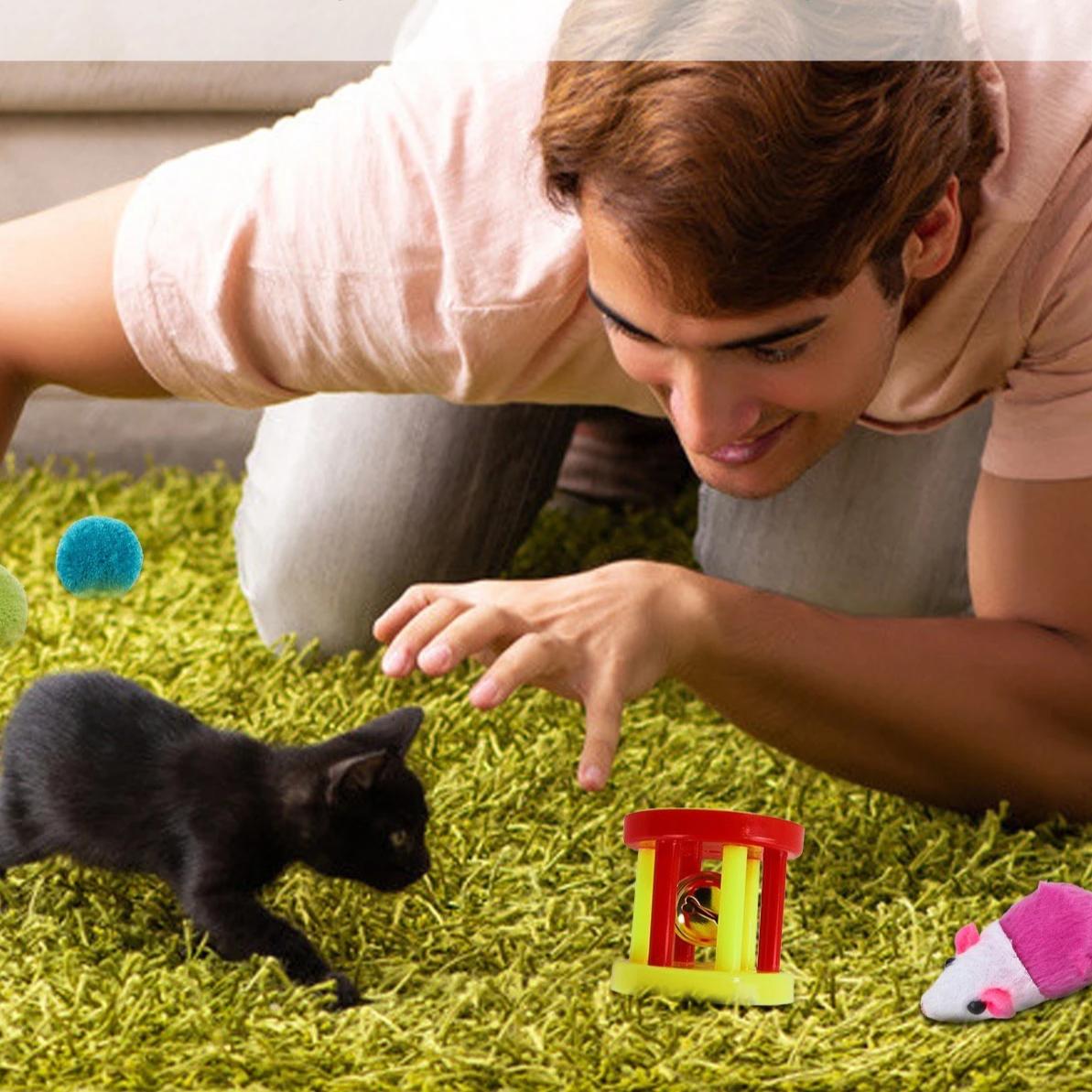 Cat Toy Kitten Toys - Variety Pack Set 21PCs