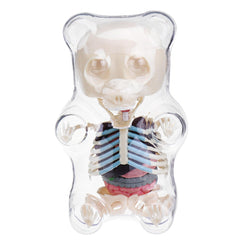 Anatomy Model Gummi Bear Skeleton Anime Assembly Action Figure Gifts Science Animal Model