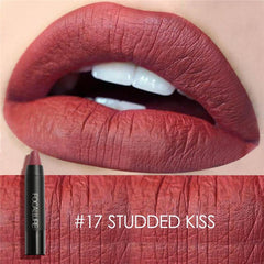 Easy To Wear Colors Matte Batom Makeup Waterproof Cosmetic Lipsticks