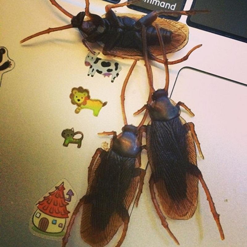 20pcs Prank Funny Trick Joke Toys Special Lifelike Model Simulation Fake Rubber Cockroach Cock Roach