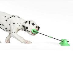 Dog Molar Bite Chew Toy Rope Pull Interactive with Suction Cup for Pulling Chewing Teeth Cleaning