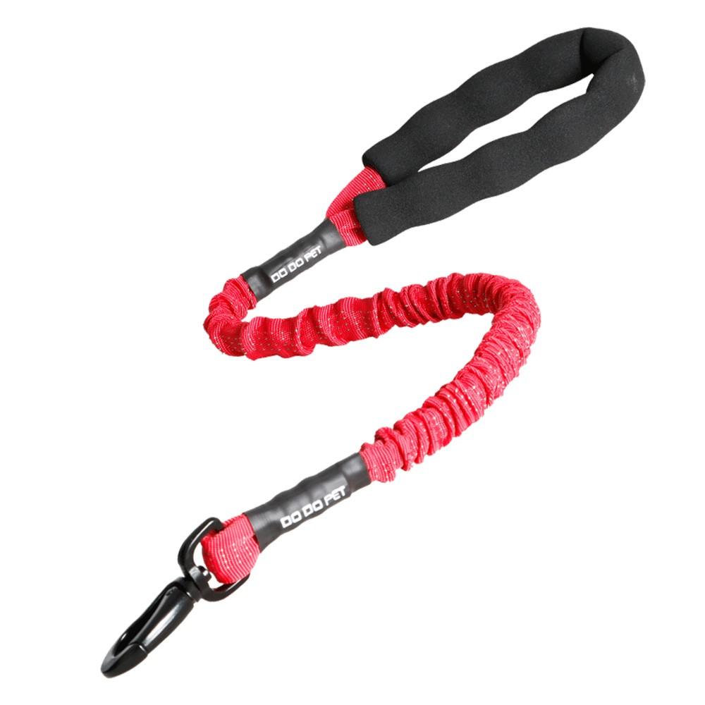 Dog Pet Bungee Leash