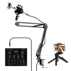 Live Sound Card + Professional Condenser Microphone Kit