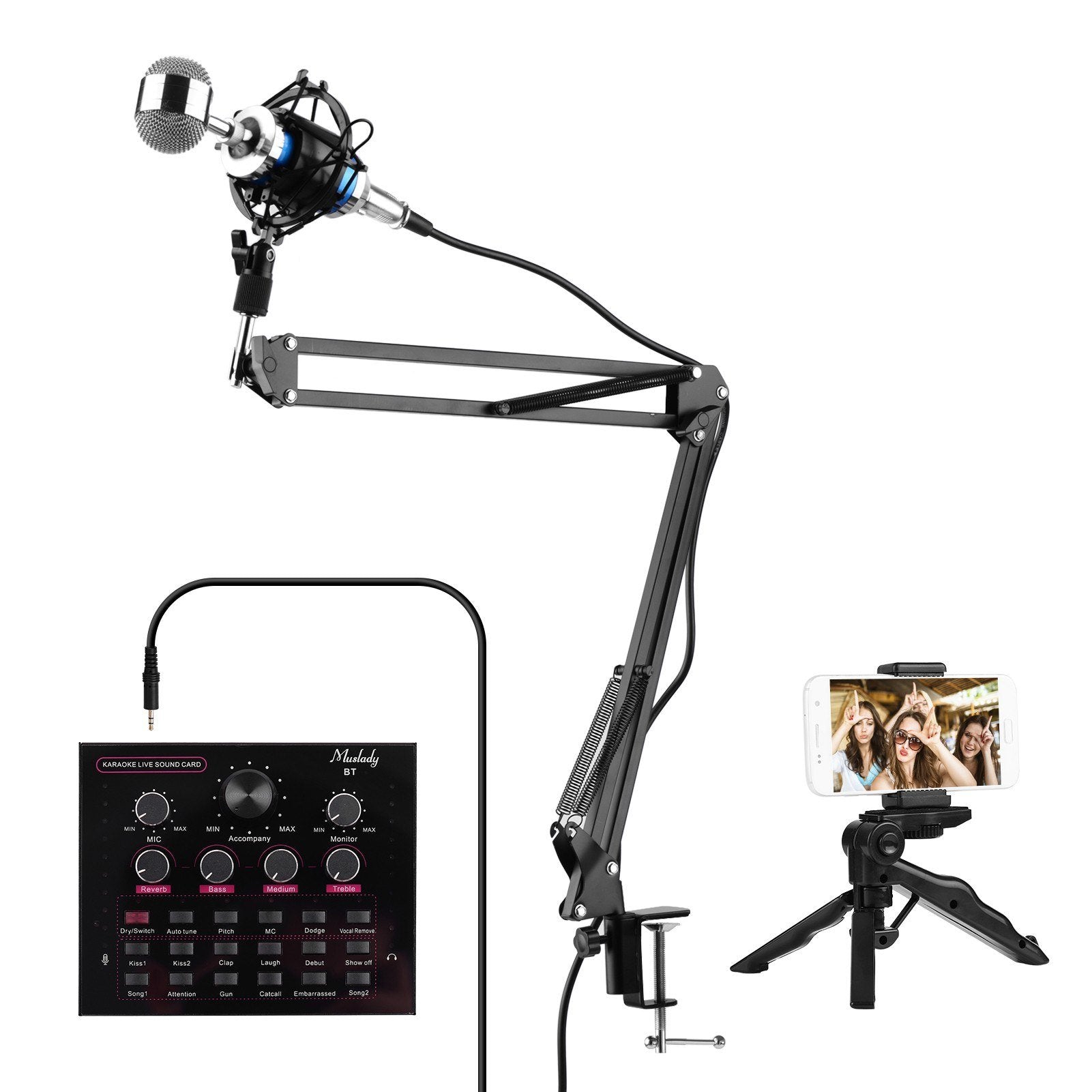 Live Sound Card + Professional Condenser Microphone Kit