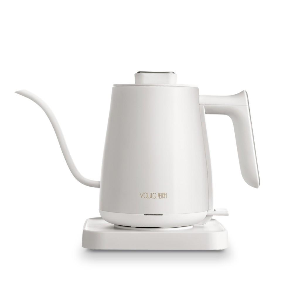 Water Kettle Electric Coffee Pot 220V